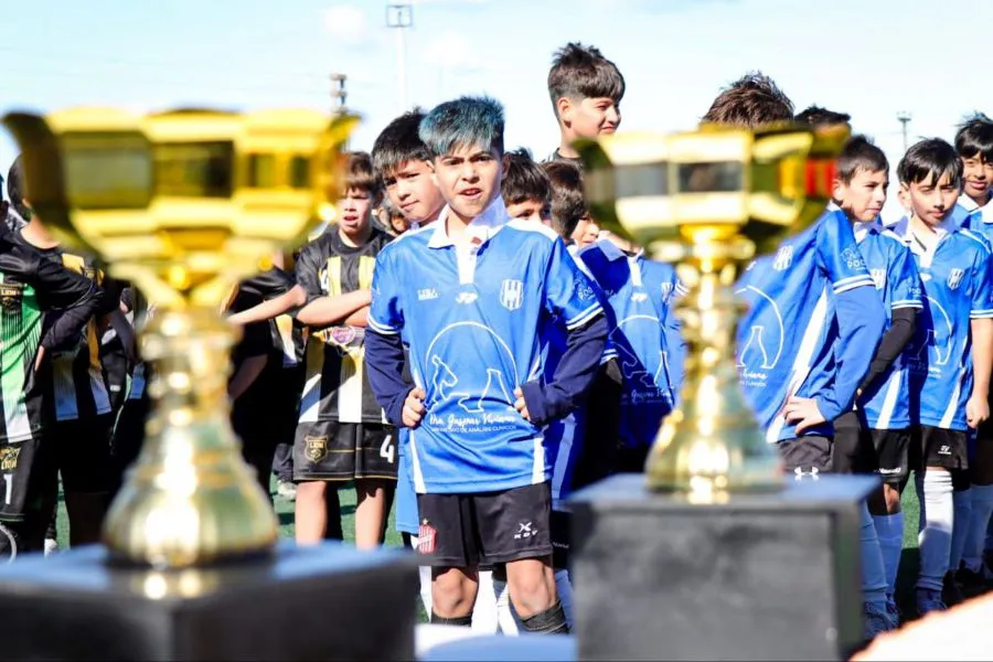 photo_4945099279194328133_y