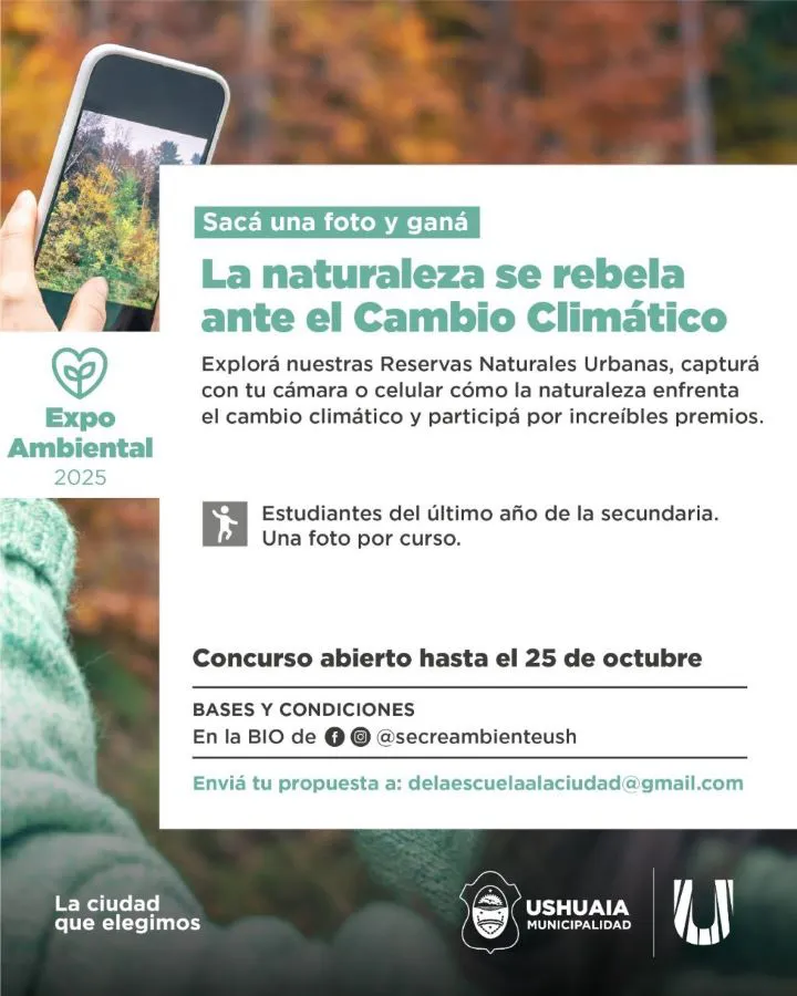 photo_5170416763940834063_y