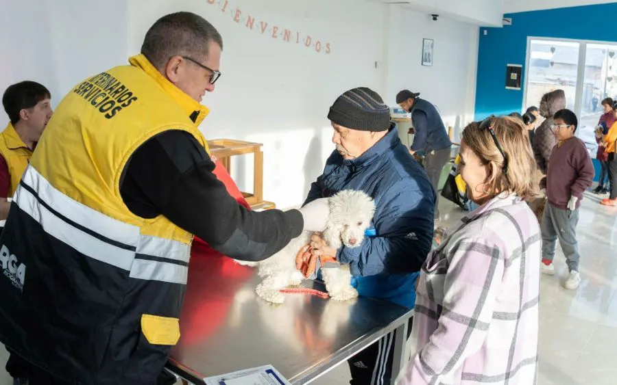 photo_5095919207571983230_y