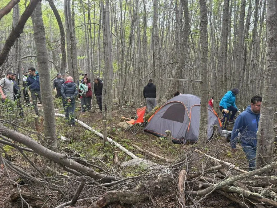 photo_5161454636072897466_y