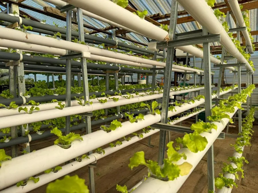 photo_5030854821019323357_y