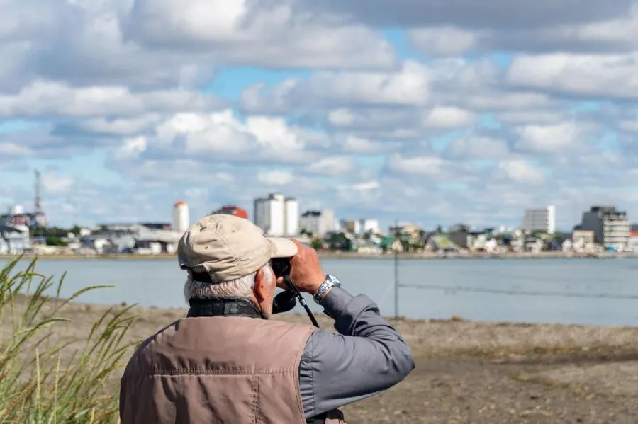 photo_4954155922112580878_y