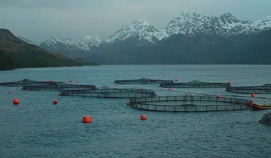 La nueva ley de pesca y acuicultura impulsa oportunidades de inversión y desarrollo productivo