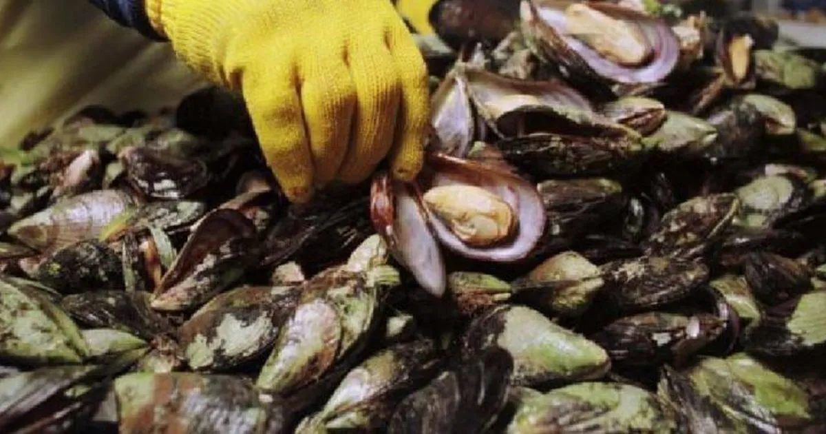 GA2TONTBMU2DSNZUMVSDCOBUME