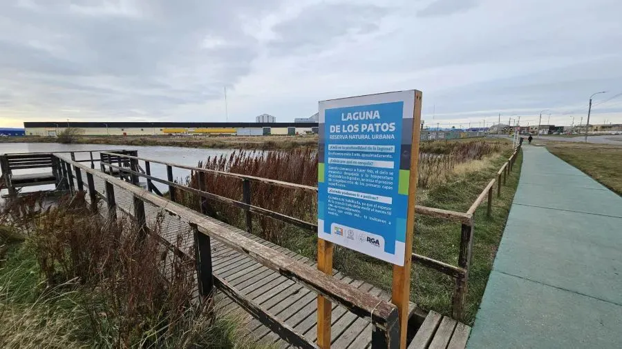 WhatsApp Image 2026-01-26 at 19.26.39