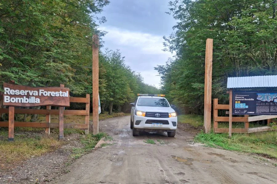 photo_4992295128621845477_y