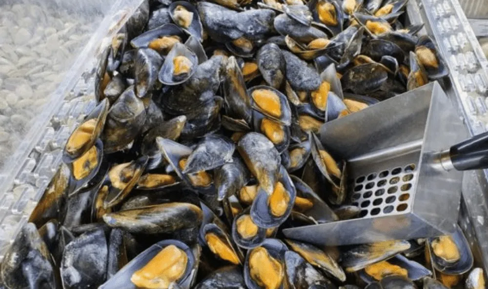 WhatsApp Image 2025-02-14 at 21.30.11