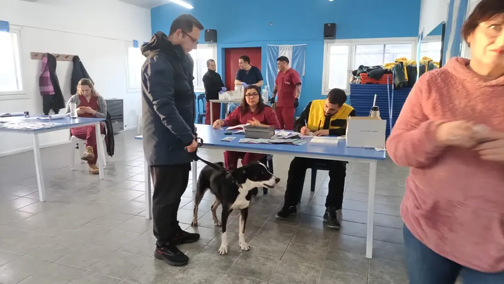 Comenzó una nueva jornada de vacunación antirrábica y chipeo en el barrio CGT (1)