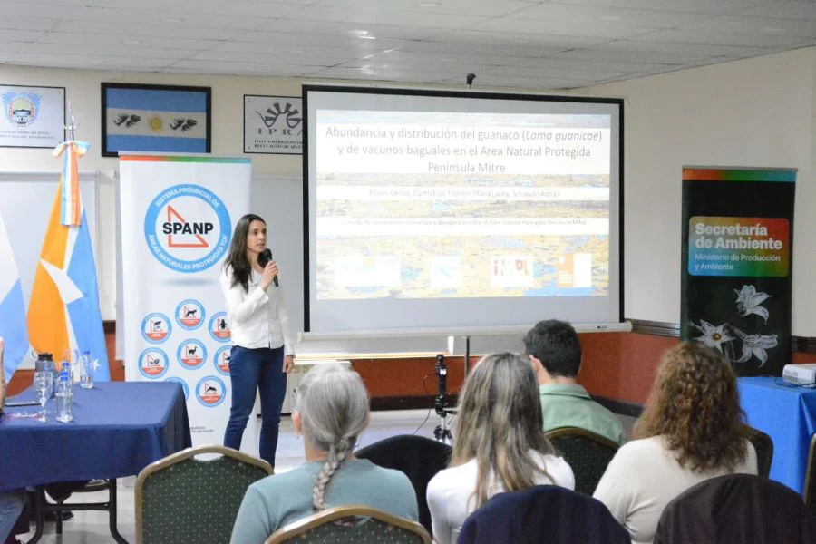 Hay 28 trabajos de investigación sobre el Área Natural Protegida Península Mitre