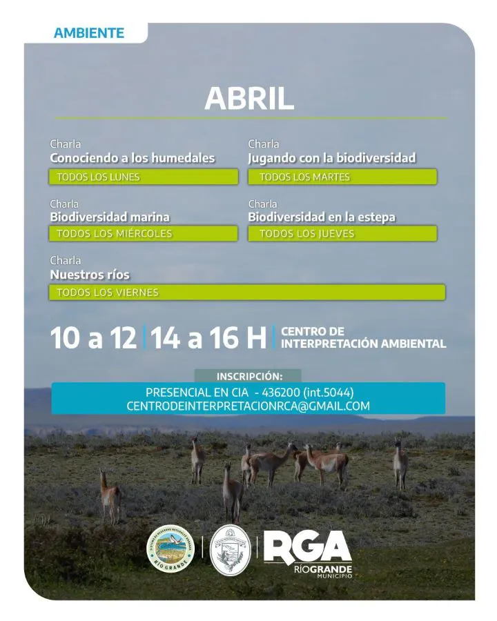 photo_5154661599829667312_y