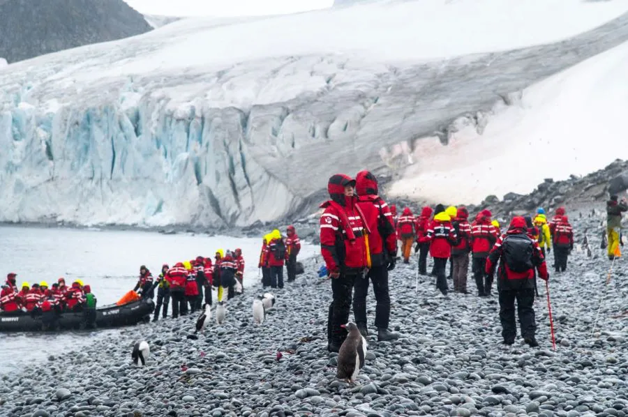 photo_4911446715777790345_y