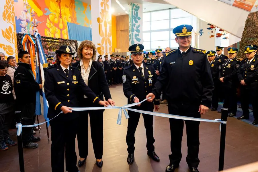 photo_4965591431448211205_y