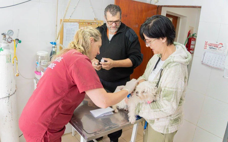 photo_4970274930079501196_y