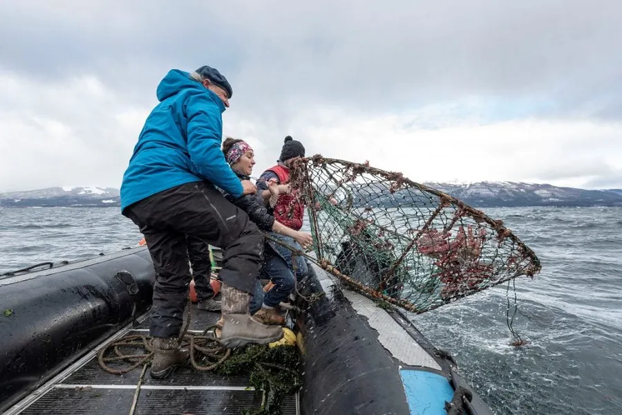 Se ofrecerá un espacio en el Muelle Comercial de Ushuaia a pescadores artesanales