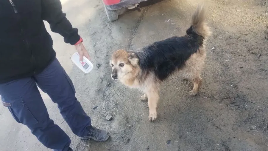 photo_5118755355411286835_y