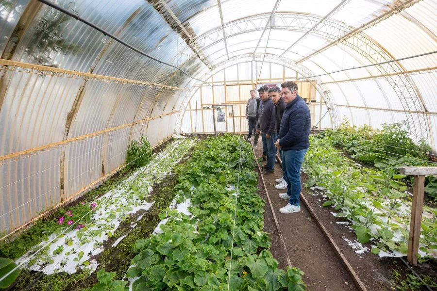 photo_5026351221391953135_y