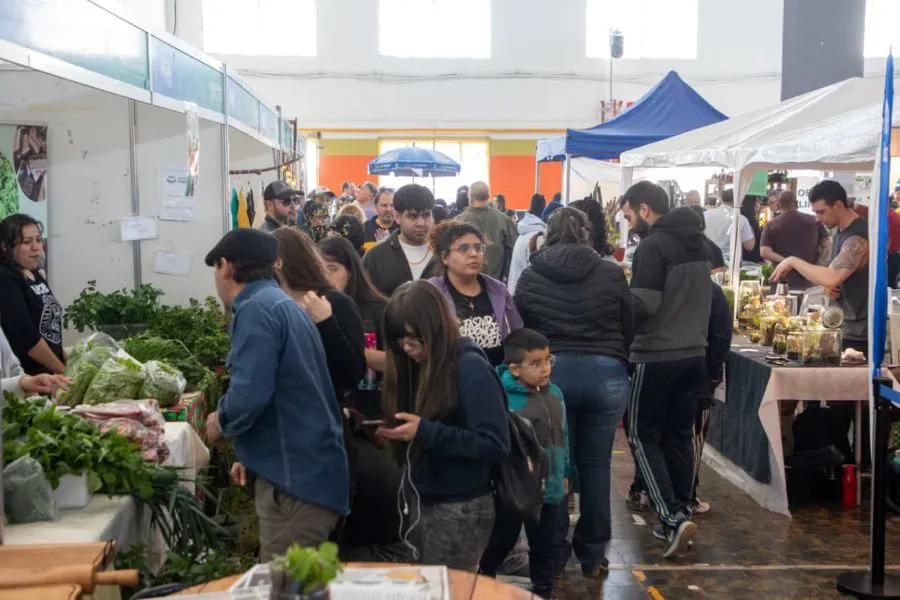 photo_4940957981533211402_y