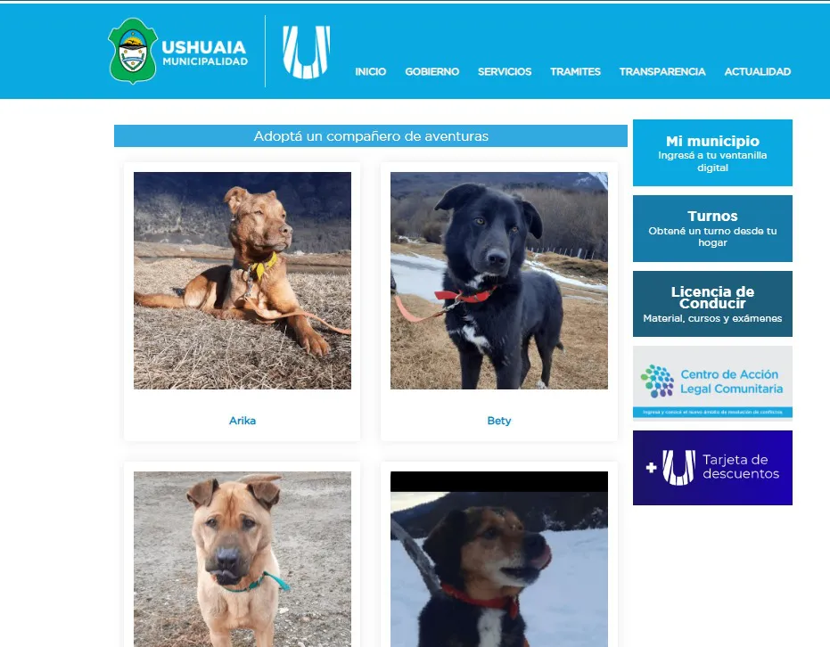 WhatsApp Image 2024-10-30 at 19.27.54