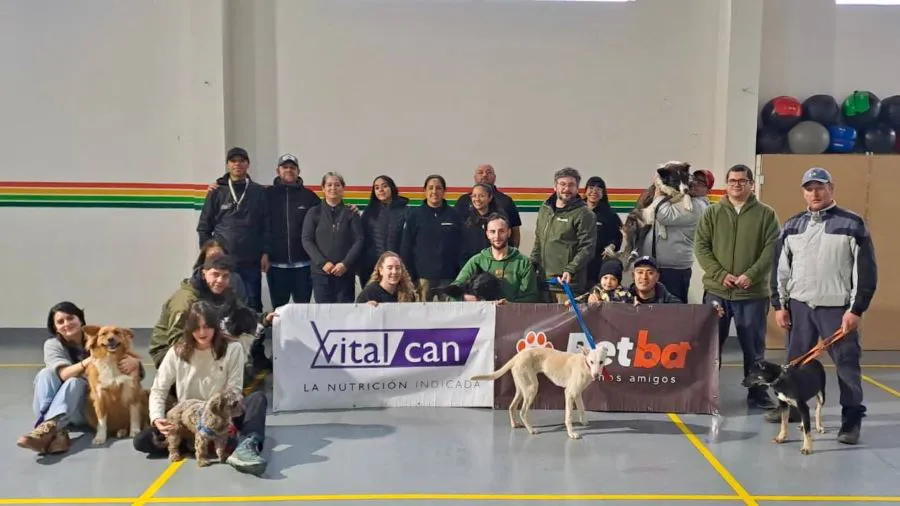 photo_5044547425863315059_y