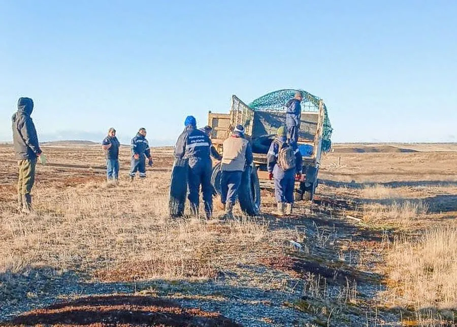 photo_4965570759770616026_y