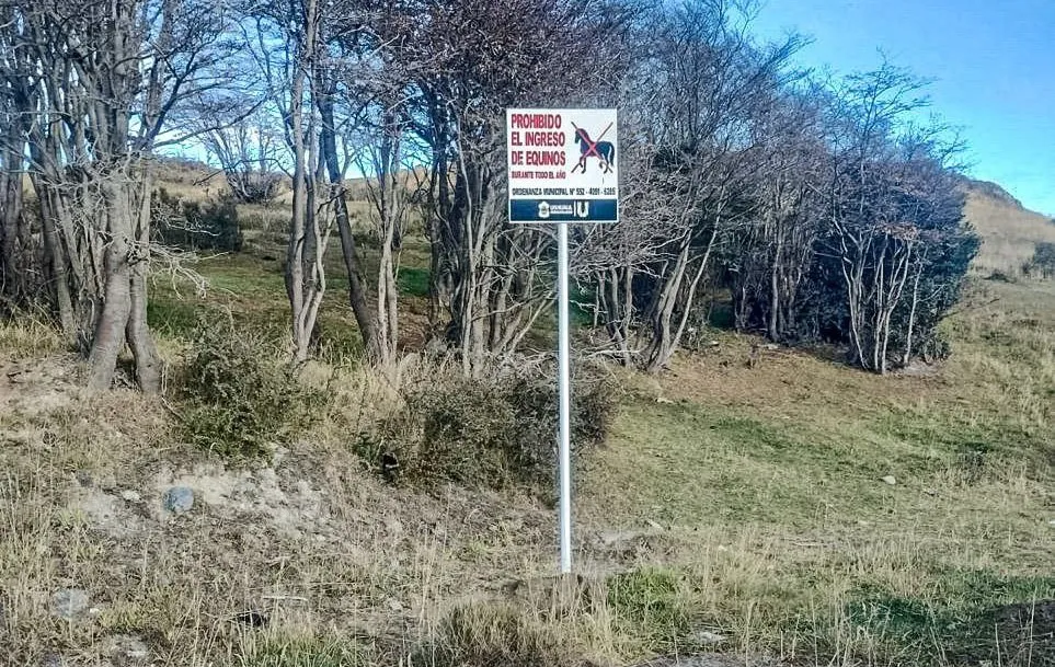 photo_4922827919550690266_y