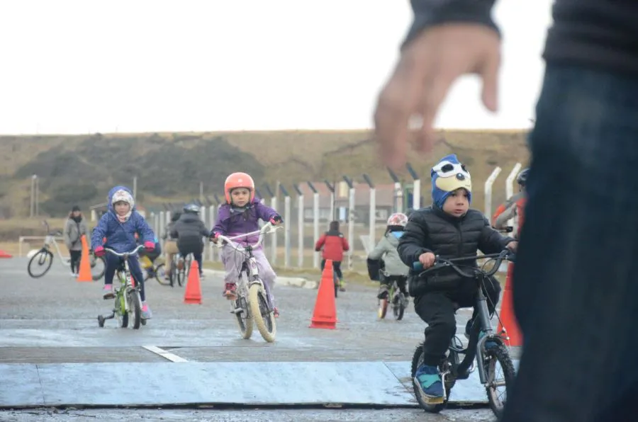 photo_4934035340356857708_y