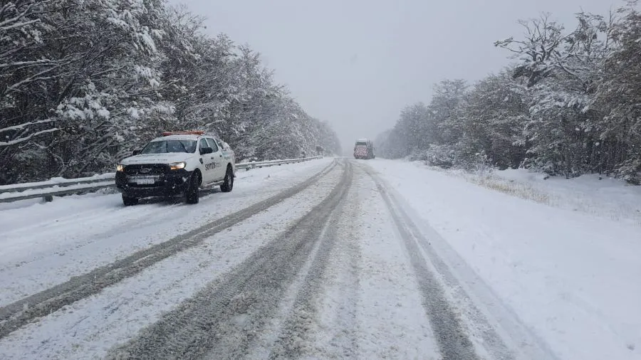 WhatsApp Image 2025-04-02 at 11.39.57