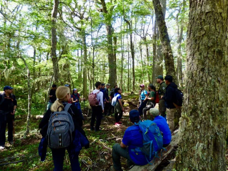 photo_4958494530567515303_y