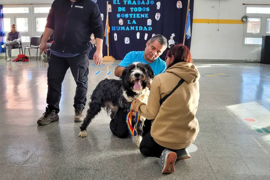 photo_4938340216142409436_y