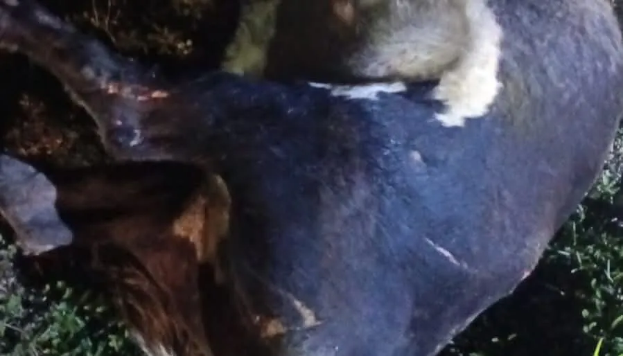 FB_IMG_1763177864055