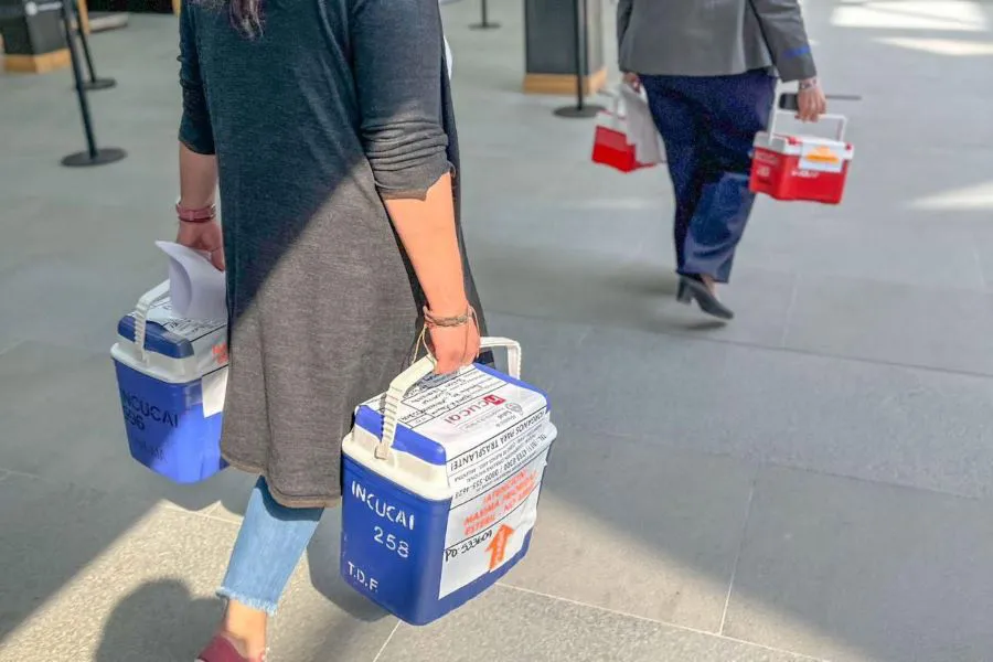 photo_5010290783890288620_y