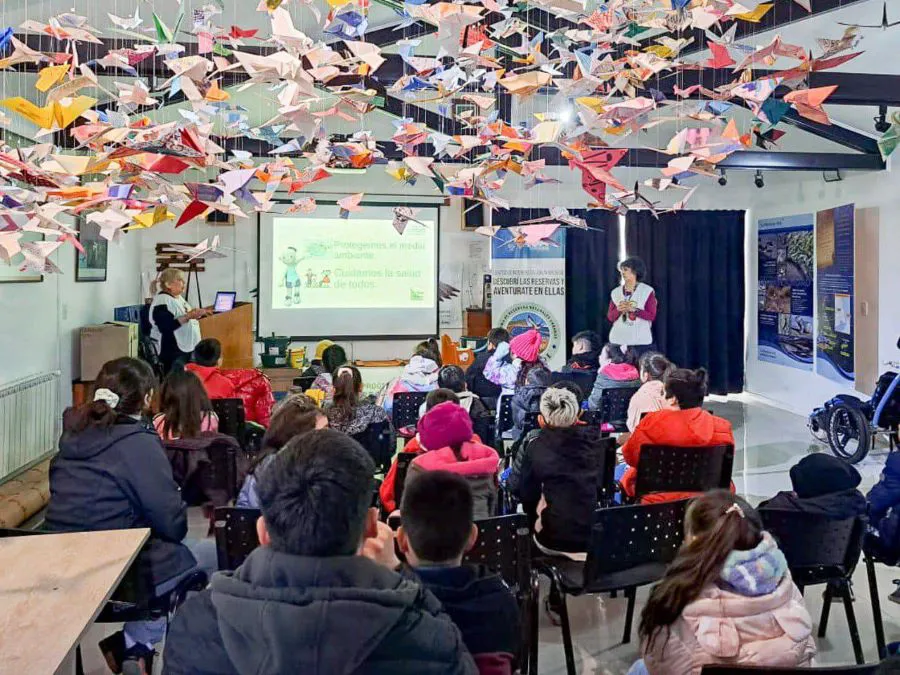 photo_5118574683317013317_y