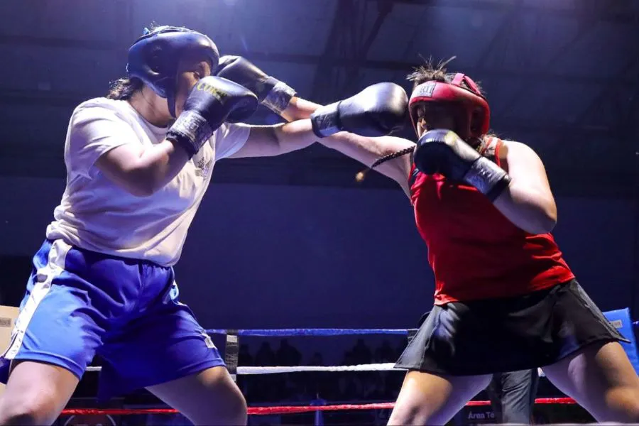 photo_4949878680146611116_y