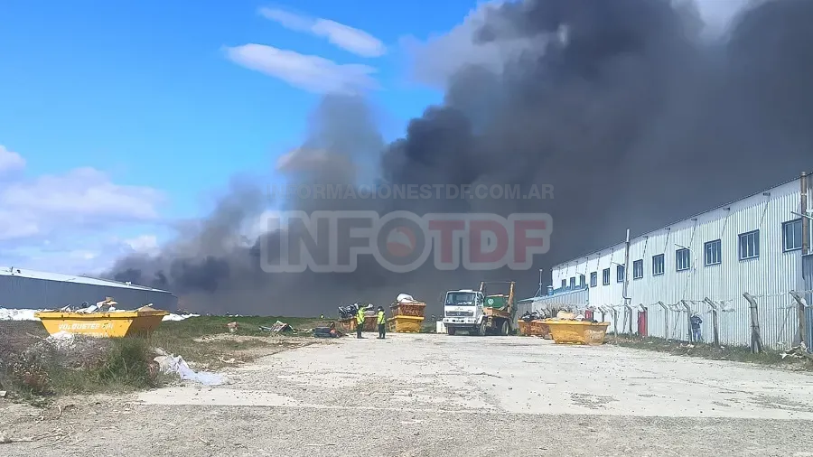 WhatsApp Image 2024-12-04 at 11.02.41