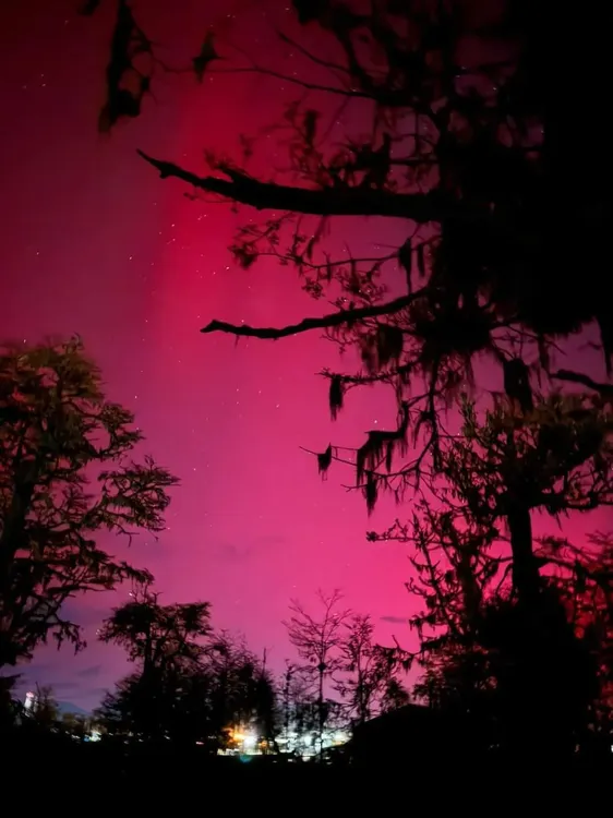 Gran espectáculo de colores en el cielo de Ushuaia y Tolhuin con la “Aurora Austral” (2)