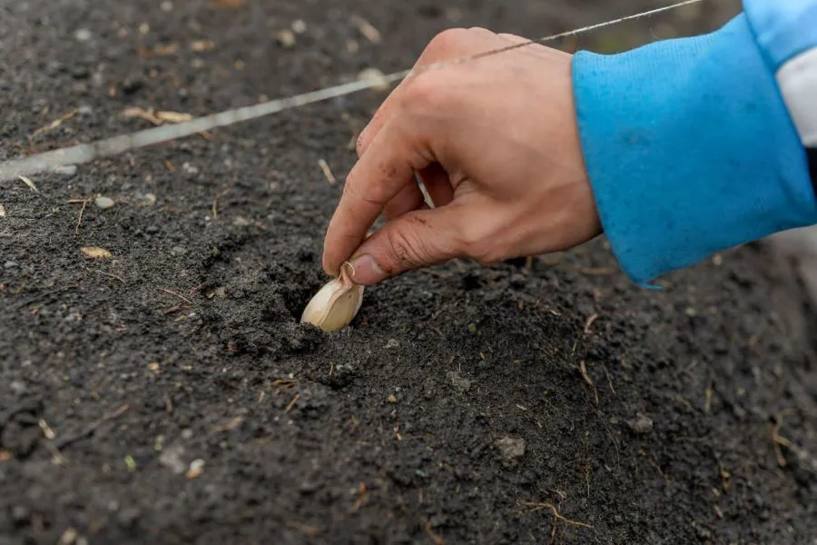 photo_4936447226486567124_y