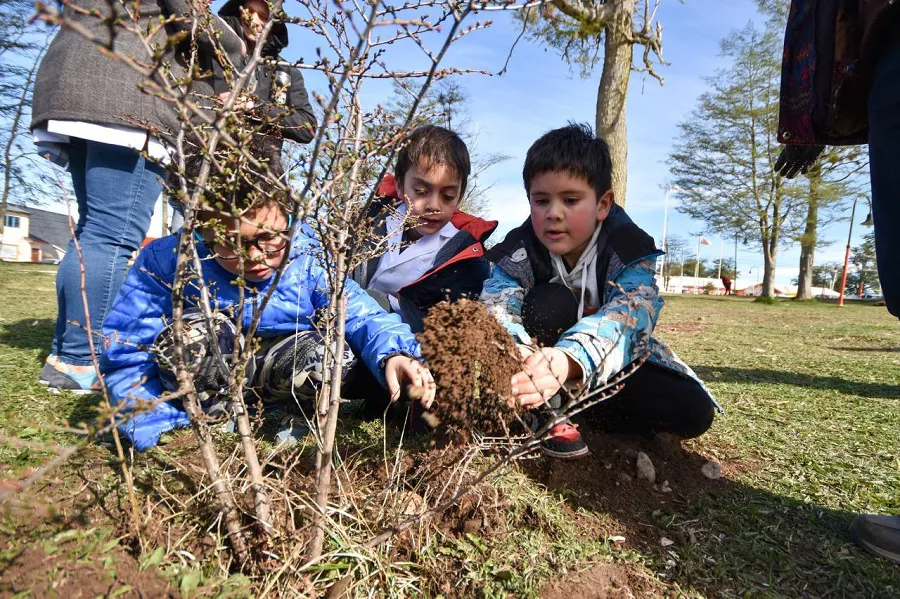 Jornada de forestación en el Día Internacional contra el Cambio Climático en Tolhuin (1)