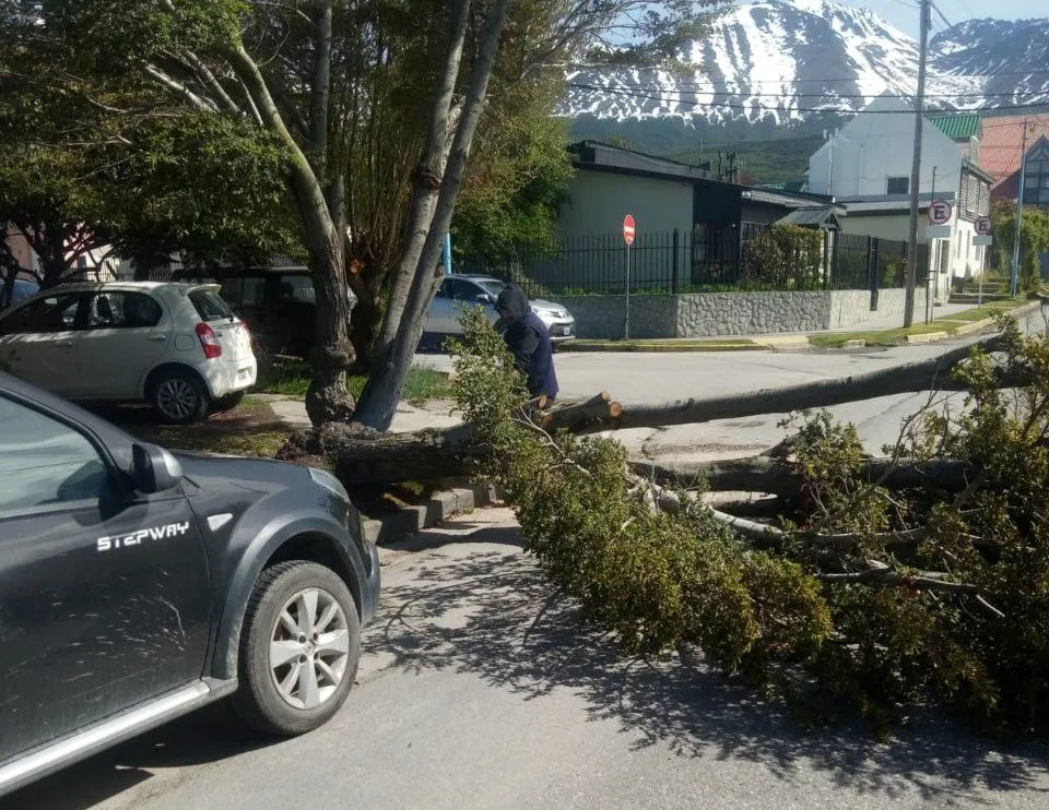 photo_4936412338470980431_y