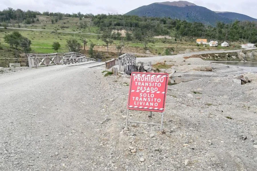 photo_4976490503671057241_y