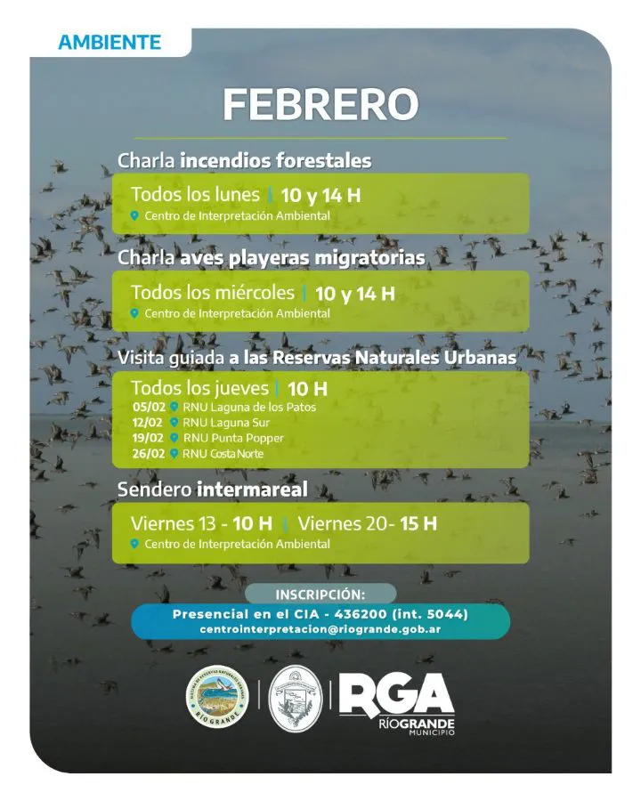 photo_4904859082058042263_y