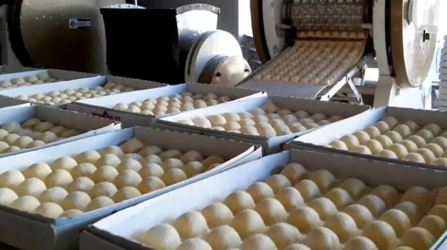 WhatsApp Image 2025-05-14 at 12.34.12