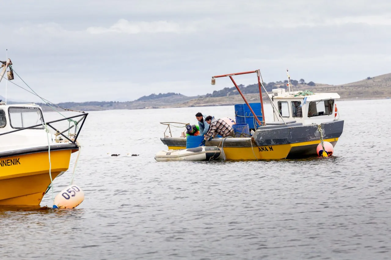 Ante la compra de productos de mar a pescadores artesanales solicitar los permisos
