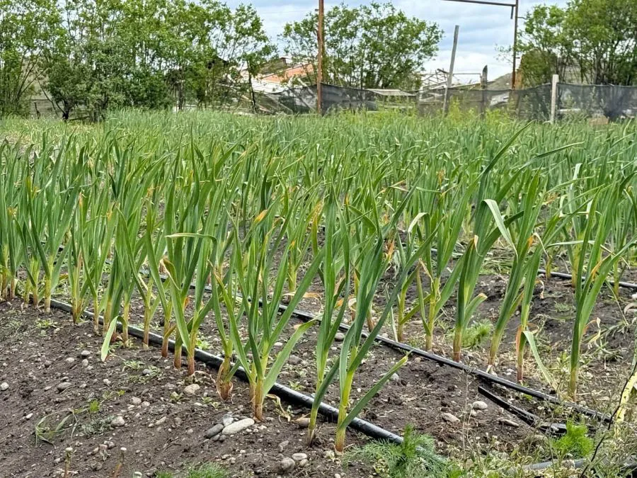 photo_5035532087649307414_y