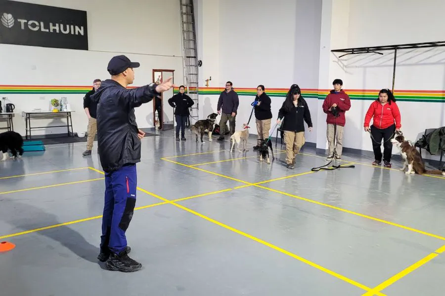 photo_5087136776836984567_y