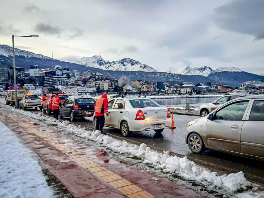 photo_5010437113426063079_y