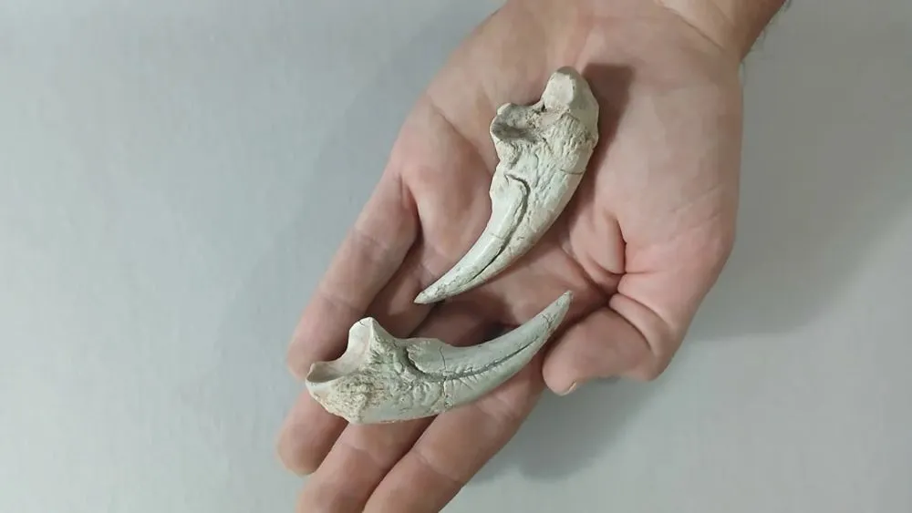 Imagen de WhatsApp 2025-10-07 a las 12.17.06_9270a588