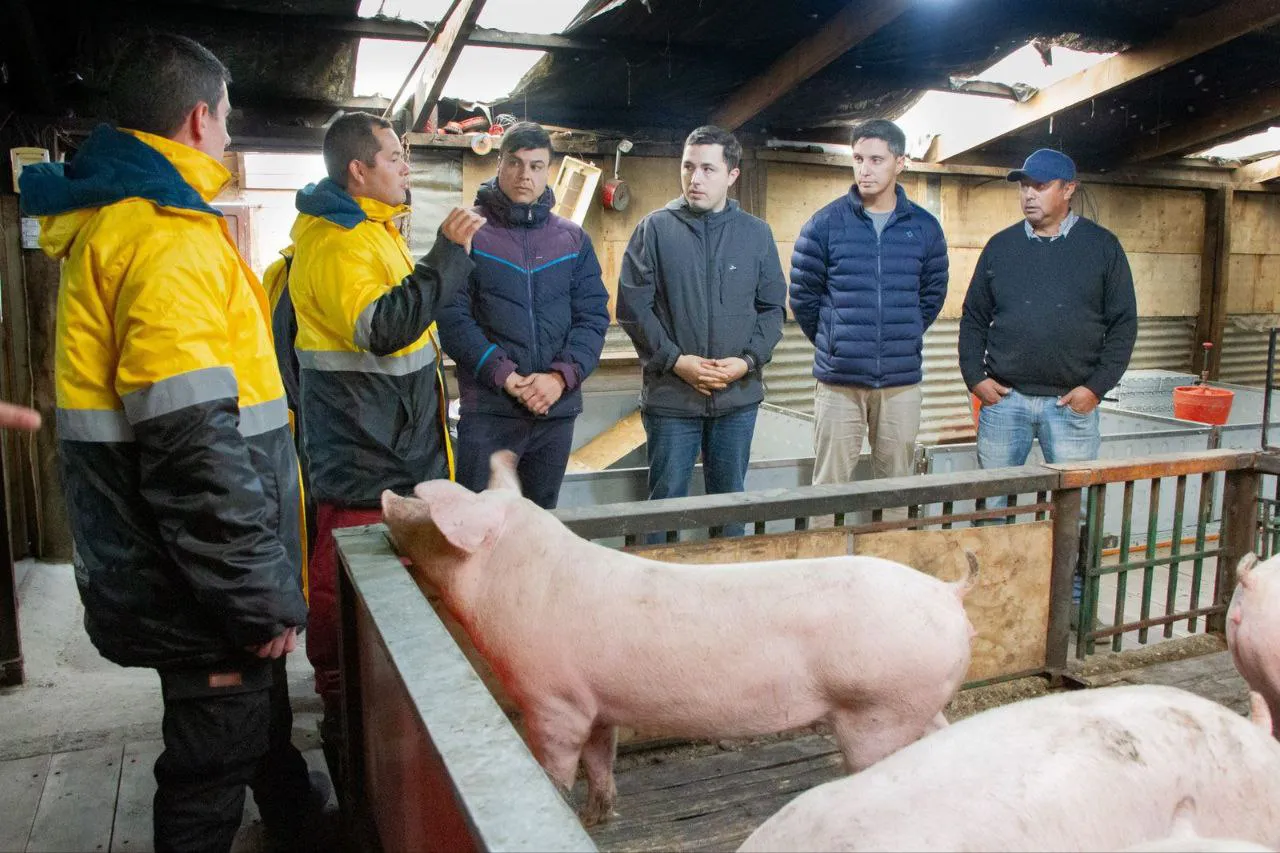 photo_5057610933966319094_y