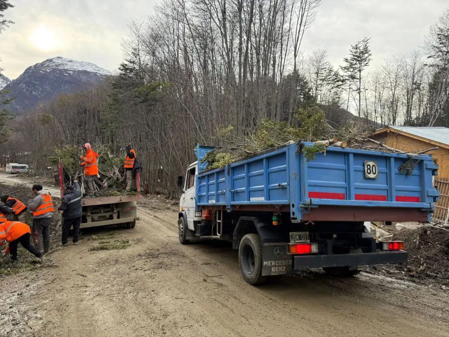 photo_5019527424592948982_y