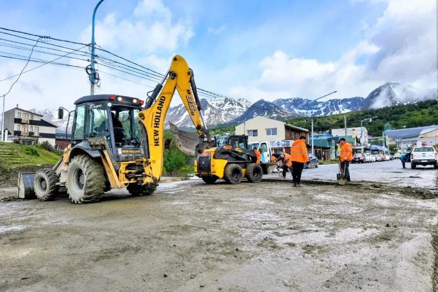 photo_4947494552390536054_y