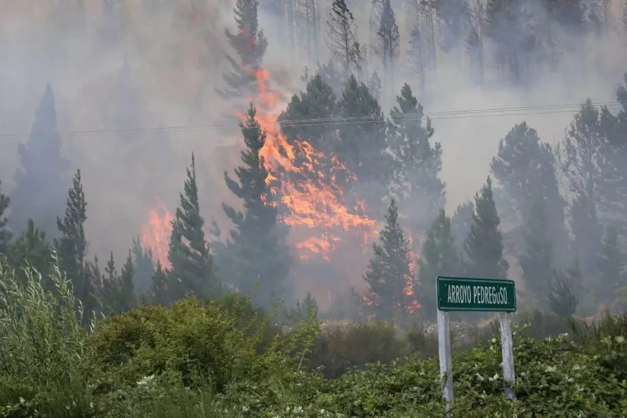 Los incendios en la Patagonia ya consumieron 11 mil hectáreas en Epuyén y Bariloche